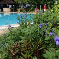 プールサイドでもwifi飛んでます。