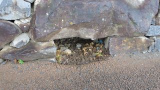 すぐ見つかります