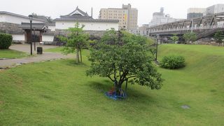 駅前に芝生と門があります