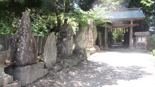 今年のあじさいは残念です