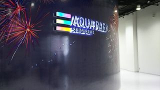 ドルフィンパフォーマンス