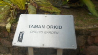 ハイビスカス・ガーデンと繋がって