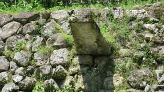 飛び込み板みたい