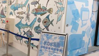 いつも食べている魚も