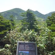 ロープウェイで山頂へ