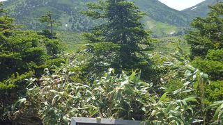 ロープウェイで山頂へ