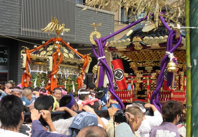 2017・7・9　ドッコイソリャ　江の島・腰越の祭り