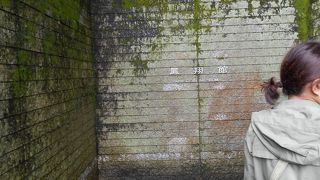 迫力満点でした