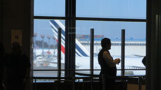 これからどうなる?