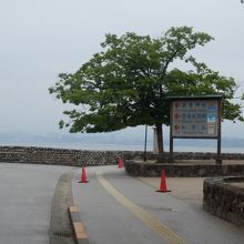 宮島桟橋からの眺め