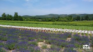 まだ、少しさみしい！