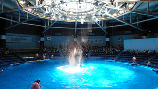 カップルも子供連れも、友達と楽しめます