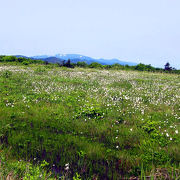 温泉、湿原、湖。変化に富んだ山容が魅力