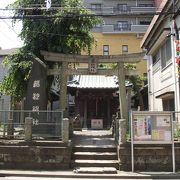 昭和４年建立の鳥居がある道祖神です