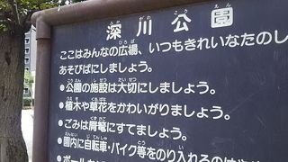 それほど大きくはないです