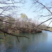 水芭蕉が咲く穴場スポット