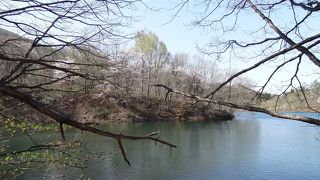 水芭蕉が咲く穴場スポット