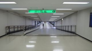 走った走った・・・