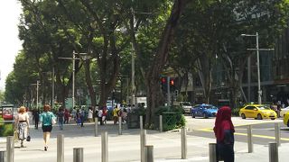 歩道が大きいです。