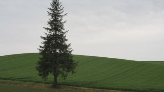 案内ありません