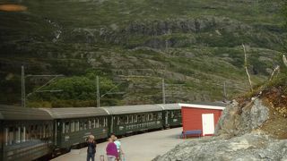 フィヨルド観光の移動の一つ。