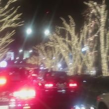 12月だけのイルミネーション