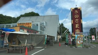 きのこ王国 喜茂別店