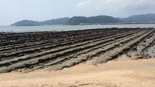 自然の凄さを感じる