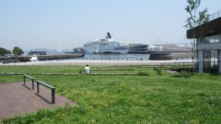 草地に寝転んで豪華客船を眺めてる