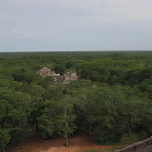 360度のジャングル