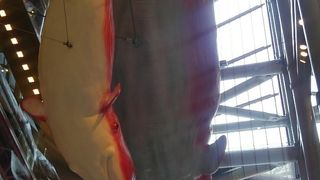 若者向けの赤い施設