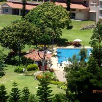 ホテルにはかわいらしいプールも見えます