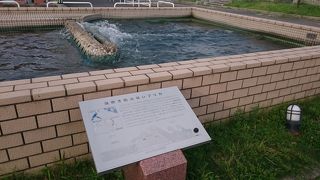 潮吹き防波堤が見られる公園!!