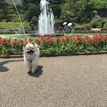 手入れの行き届いた庭園。