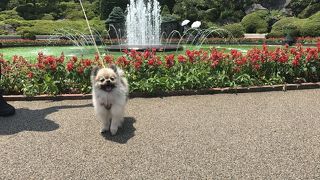 ちょっと高いかな。。