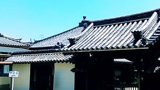 菩薩半跏像が見たくて