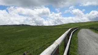 のどかなお散歩