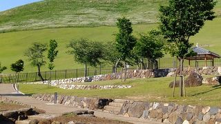 独特な形をした草地の小山