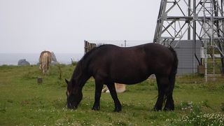 のんびりとしたところでした