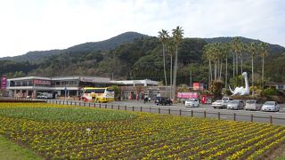 大うなぎが展示