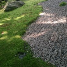 初めての座禅体験 By Makky 報国寺 竹寺 のクチコミ フォートラベル 初めての座禅体験 By Makky 報国寺 竹寺 のクチコミ フォートラベル