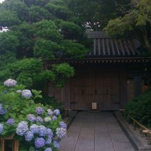 初めての座禅体験 By Makky 報国寺 竹寺 のクチコミ フォートラベル 初めての座禅体験 By Makky 報国寺 竹寺 のクチコミ フォートラベル