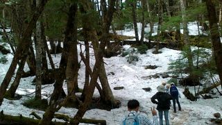 ＧＷでも雪あり