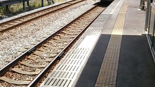 安芸～奈半利間からの利用の場合、安芸止まりの列車もあります