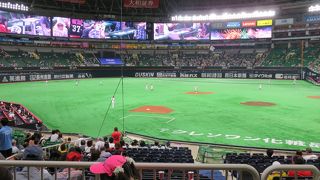 暴力的音量と音質で耳栓して観戦