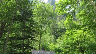 柱状節理の岩肌に水が・・・