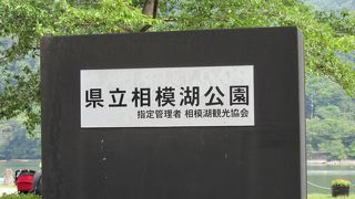 相模湖畔にある綺麗な公園です