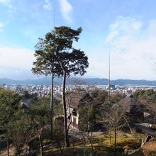 激動の時代を生きたねねに思いを馳せる