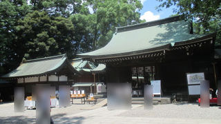 神社全体が商売熱心です。