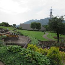 津久井湖城址公園（花の苑地）にあります